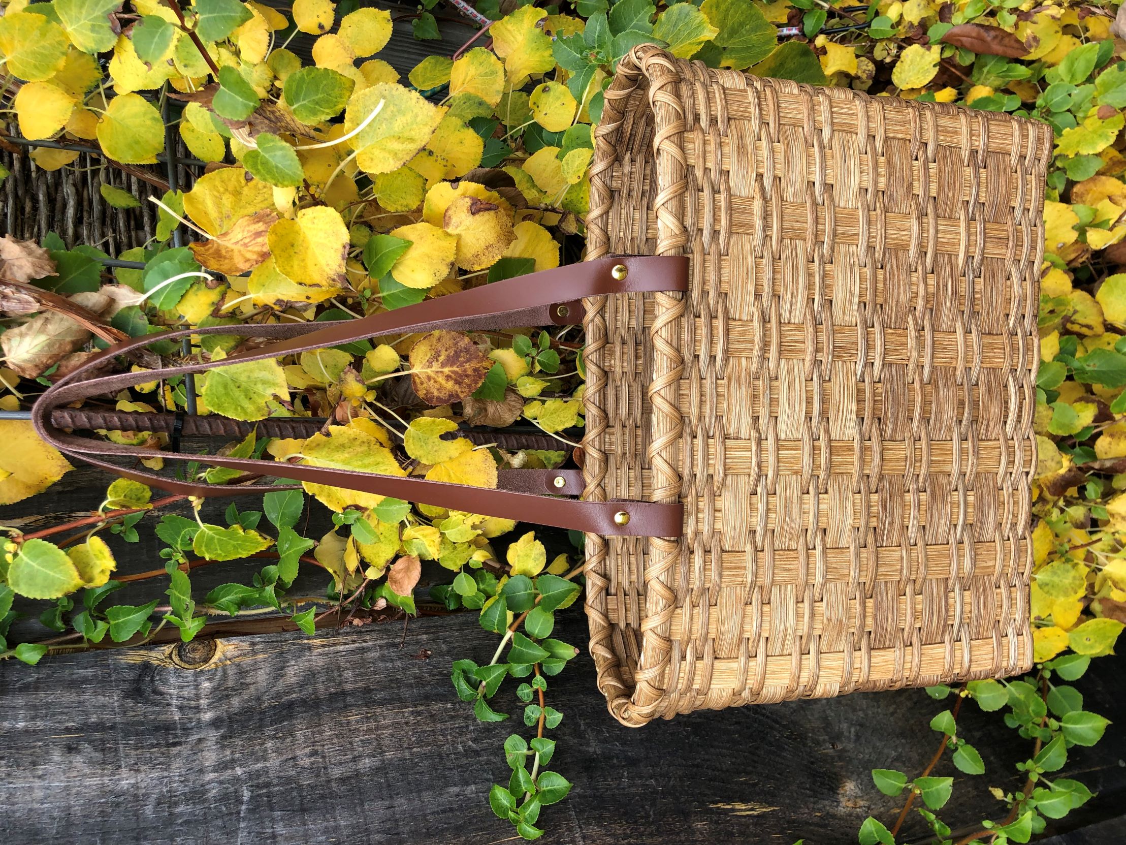 Carry-All with Leather Handles